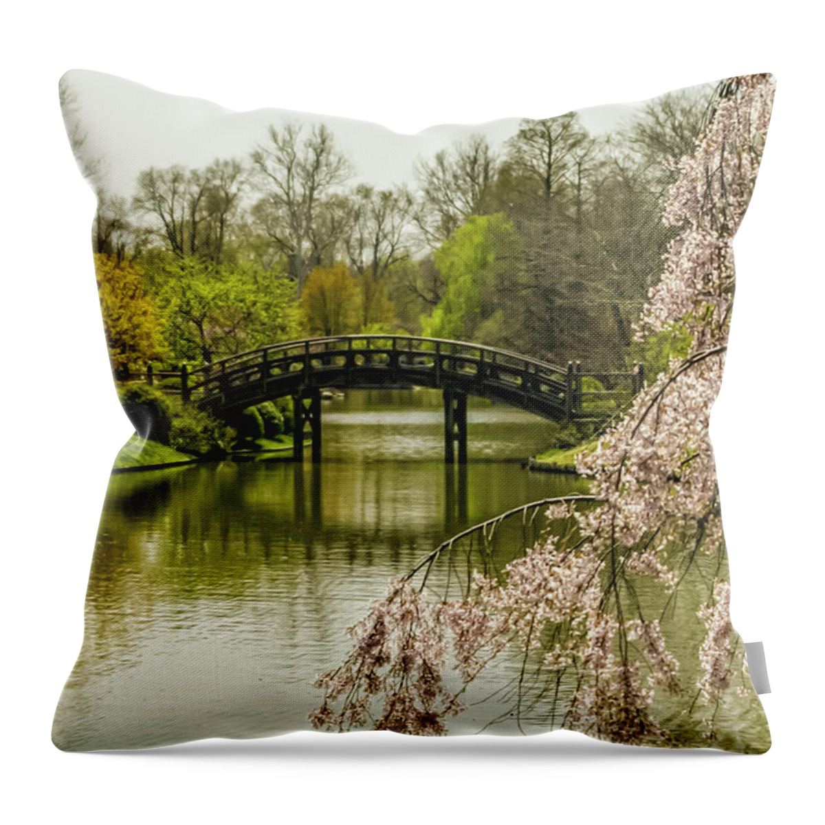 River Throw Pillow featuring the photograph Fall bridge by Jason Hughes