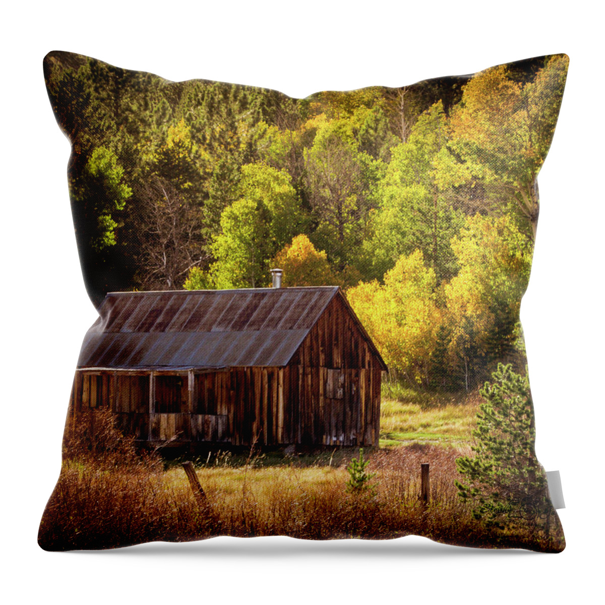 Cabin Throw Pillow featuring the photograph Fall Cabin by Steph Gabler