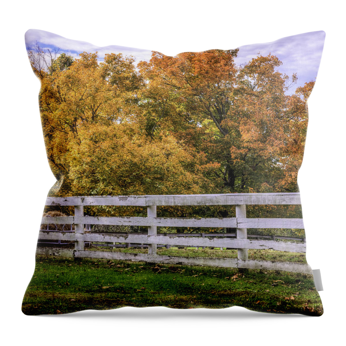 Fall Color Throw Pillow featuring the photograph Fall Color and Fence by David Waldrop