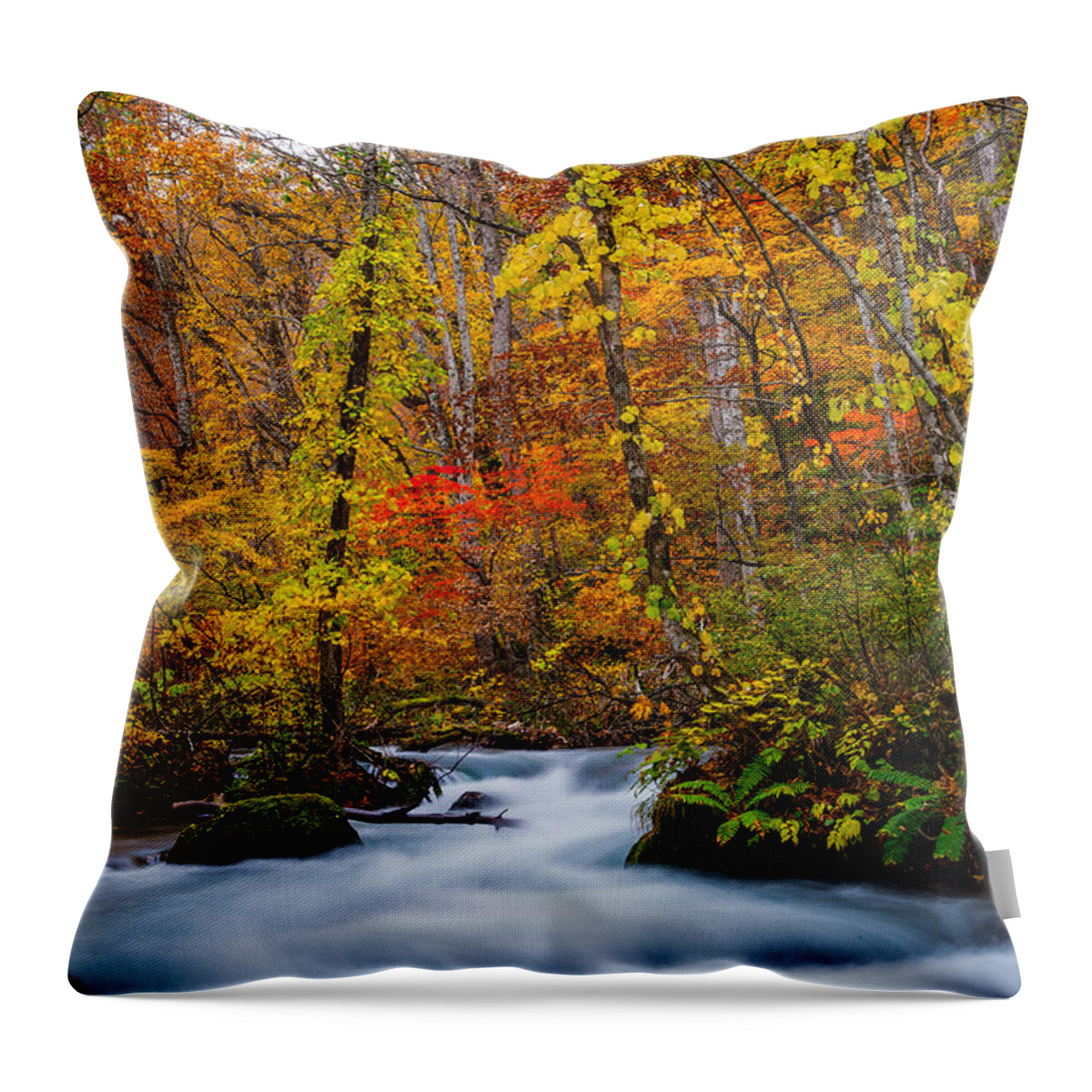 Oirase Fall Color Throw Pillow featuring the photograph Fall color - Oirase stream by Hisao Mogi