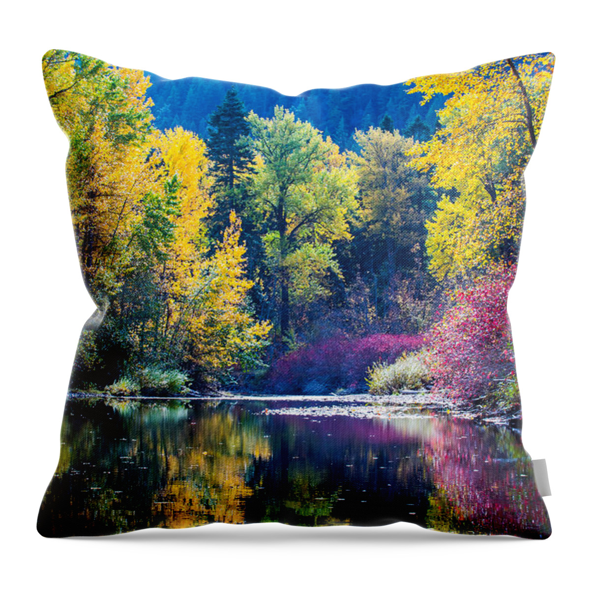 Landscape Throw Pillow featuring the photograph Fall color reflection by Hisao Mogi