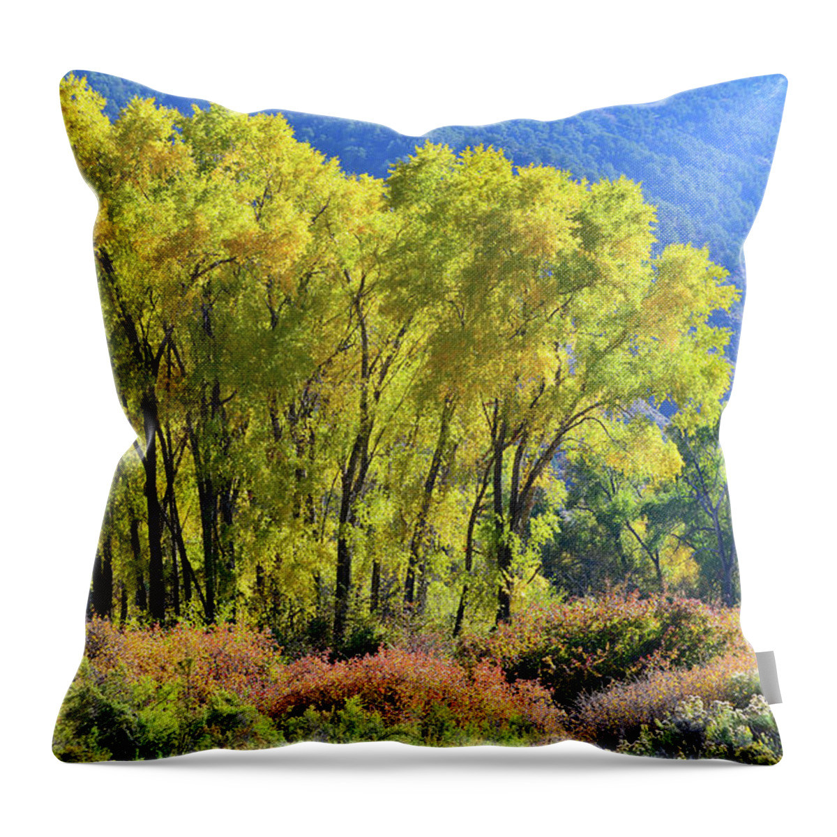 Colorado Throw Pillow featuring the photograph Fall Colors Along Colorado River near Silt by Ray Mathis
