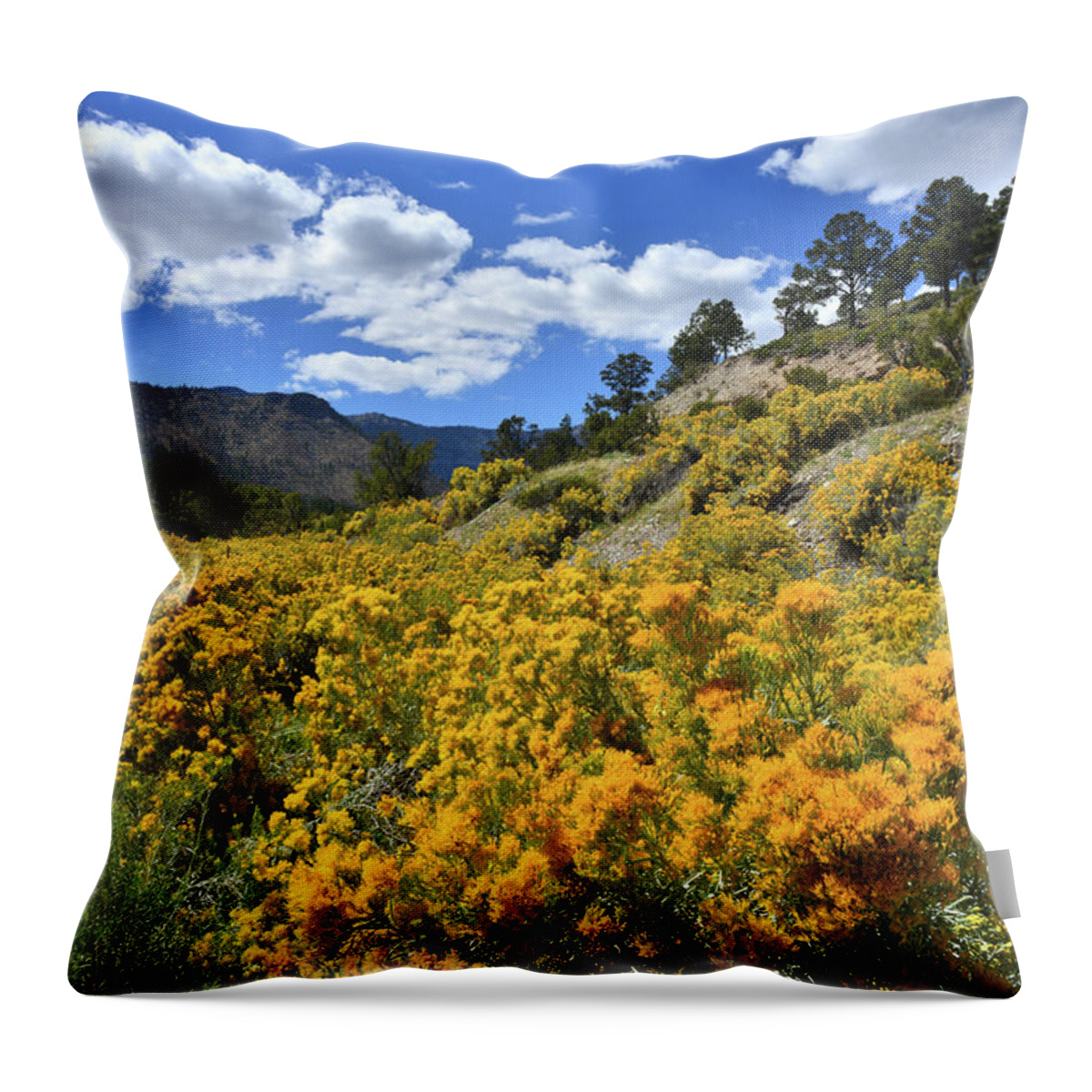 Humboldt-toiyabe National Forest Throw Pillow featuring the photograph Fall Colors Come to Mt. Charleston by Ray Mathis