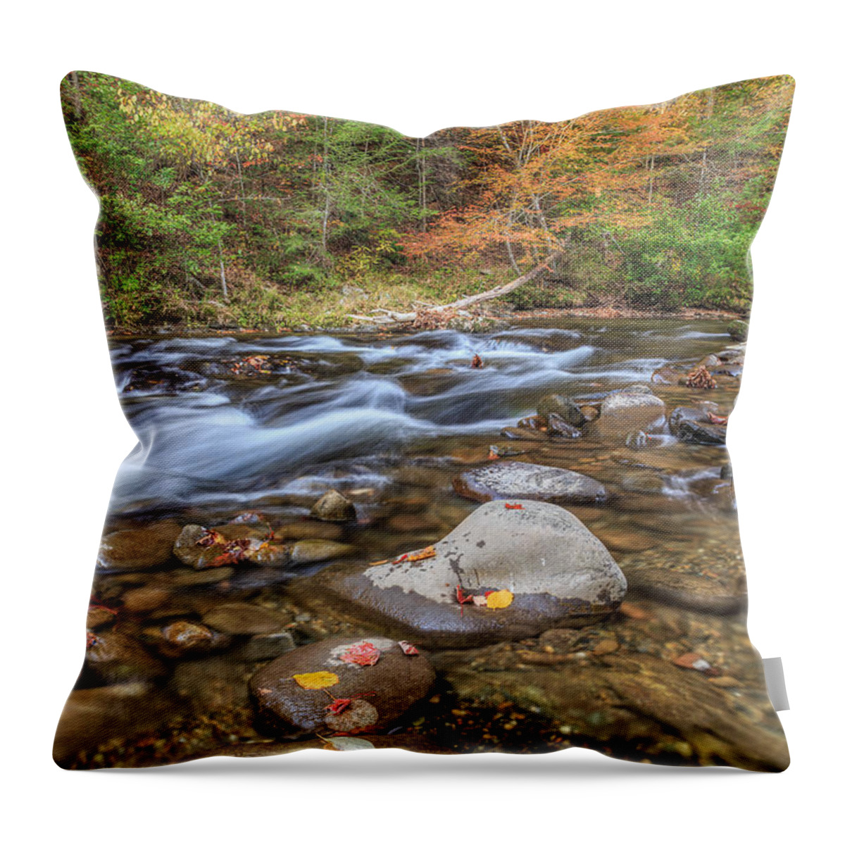 Smoky Mountain Natinal Park Throw Pillow featuring the photograph Fall Colors Little River by Paul Schultz