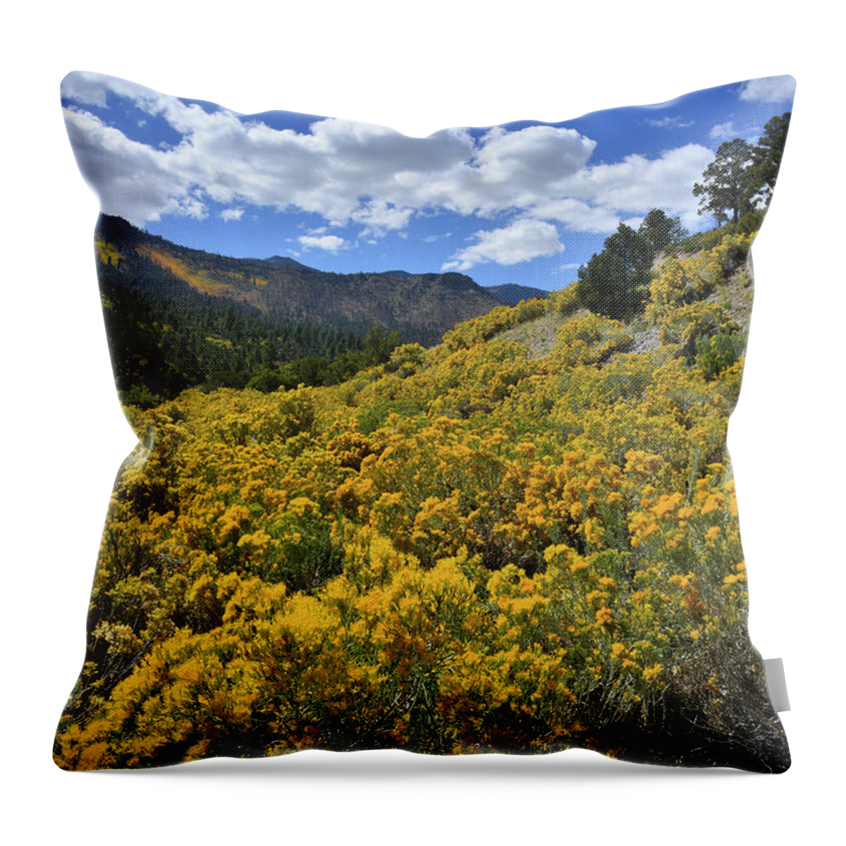 Humboldt-toiyabe National Forest Throw Pillow featuring the photograph Fall Colors on Road to Mt. Charleston by Ray Mathis