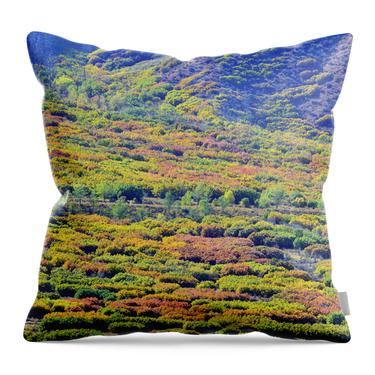 Colorado Throw Pillow featuring the photograph Fall Colors on the Foothills of Glenwood Spring by Ray Mathis