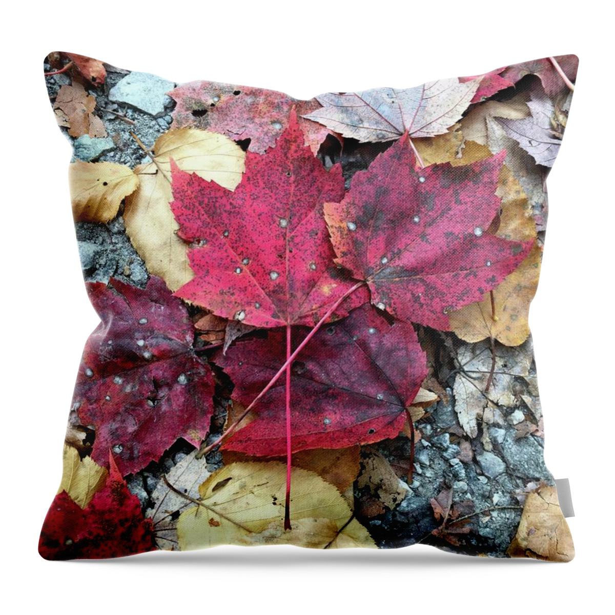 Fall Colors Throw Pillow featuring the photograph Fall Colors by Robert J Wagner