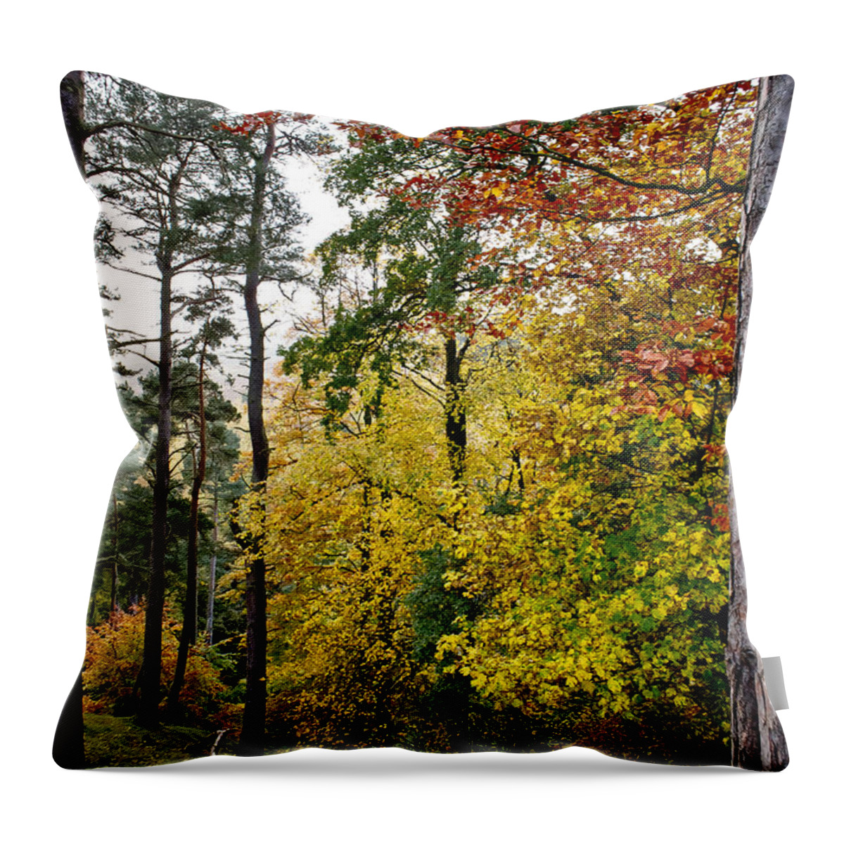 Fall Throw Pillow featuring the photograph Fall colours of Pentland Hills. by Elena Perelman