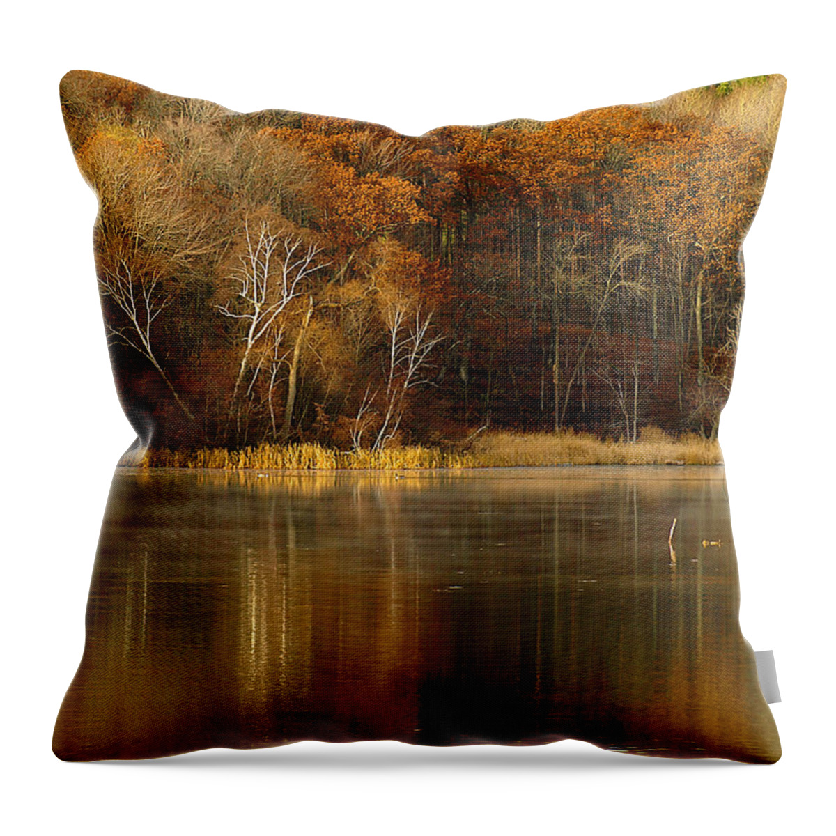 Lake Throw Pillow featuring the photograph Fall Cove by Thomas Young