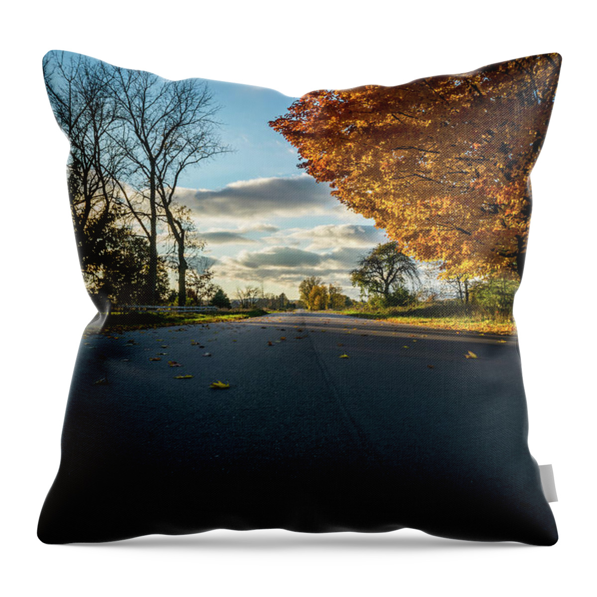 Fall Throw Pillow featuring the photograph Fall Day by Lester Plank