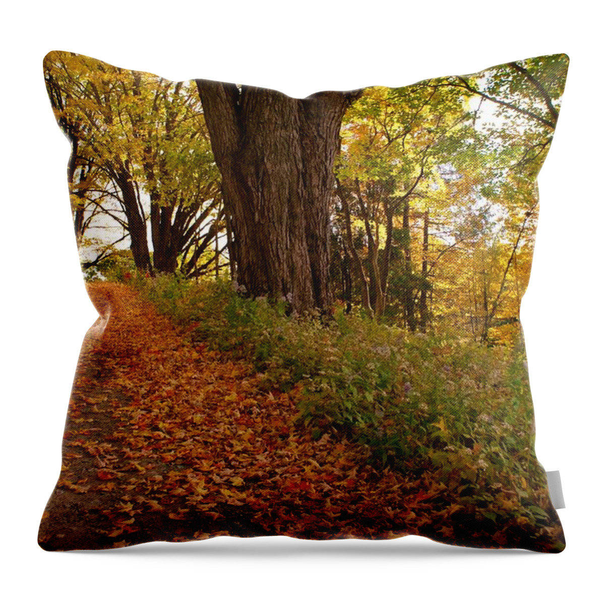 Fall Throw Pillow featuring the photograph Fall Driveway by Lois Lepisto