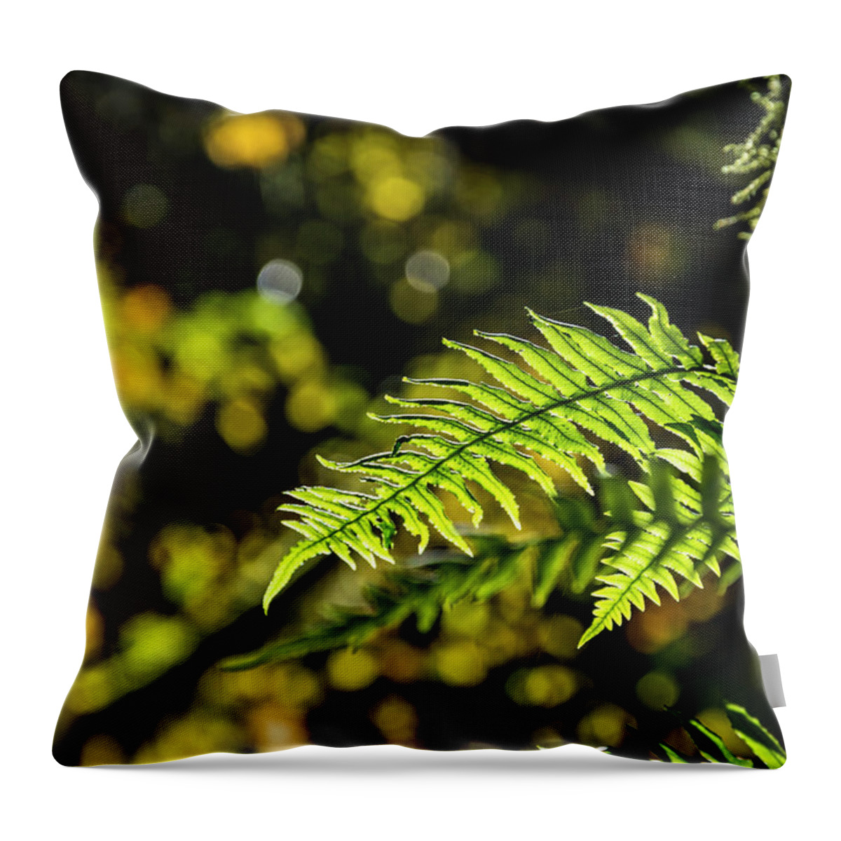 Fern Throw Pillow featuring the photograph Fall Ferns 2 by Pelo Blanco Photo