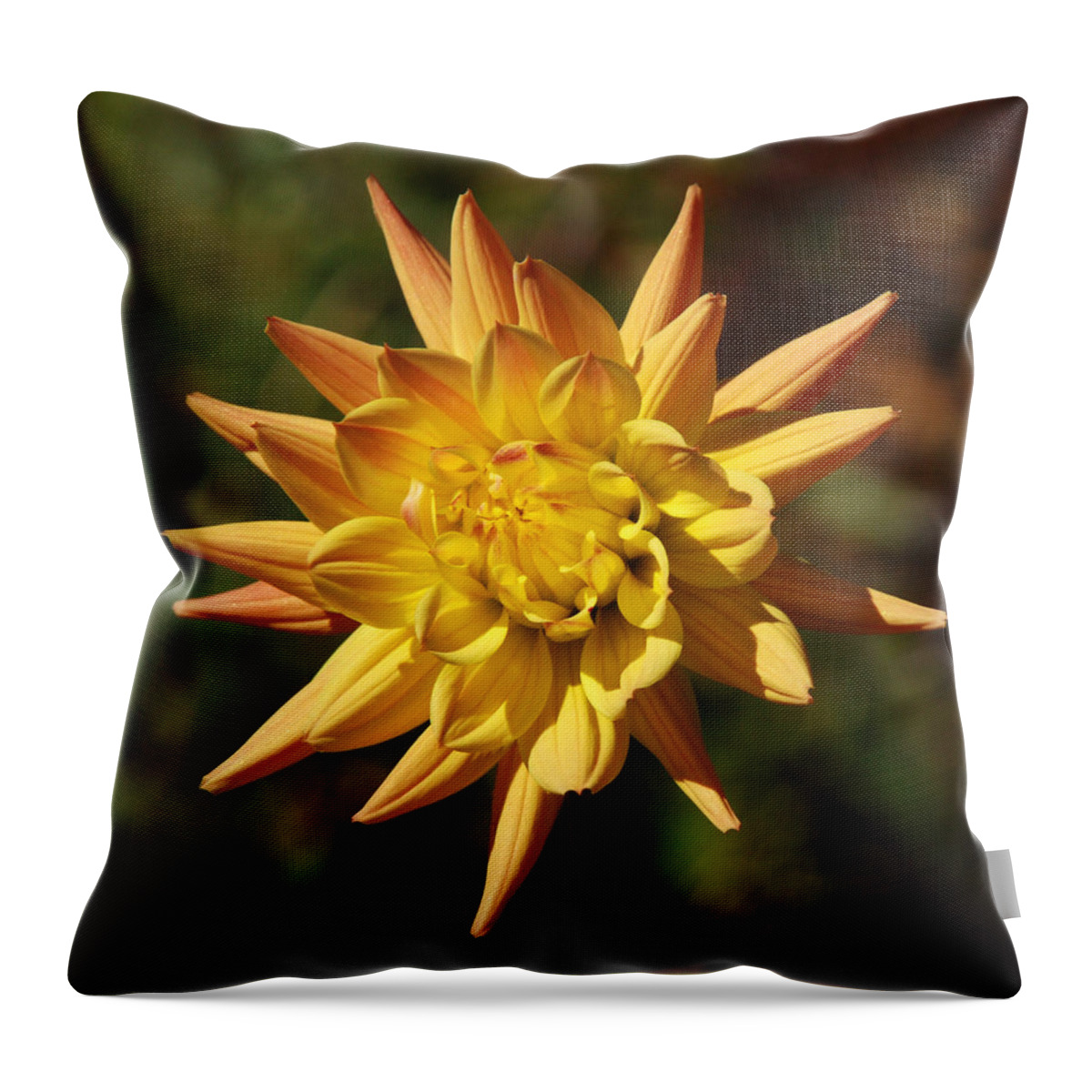 Flower Throw Pillow featuring the photograph Fall Flower by Richard Bryce and Family