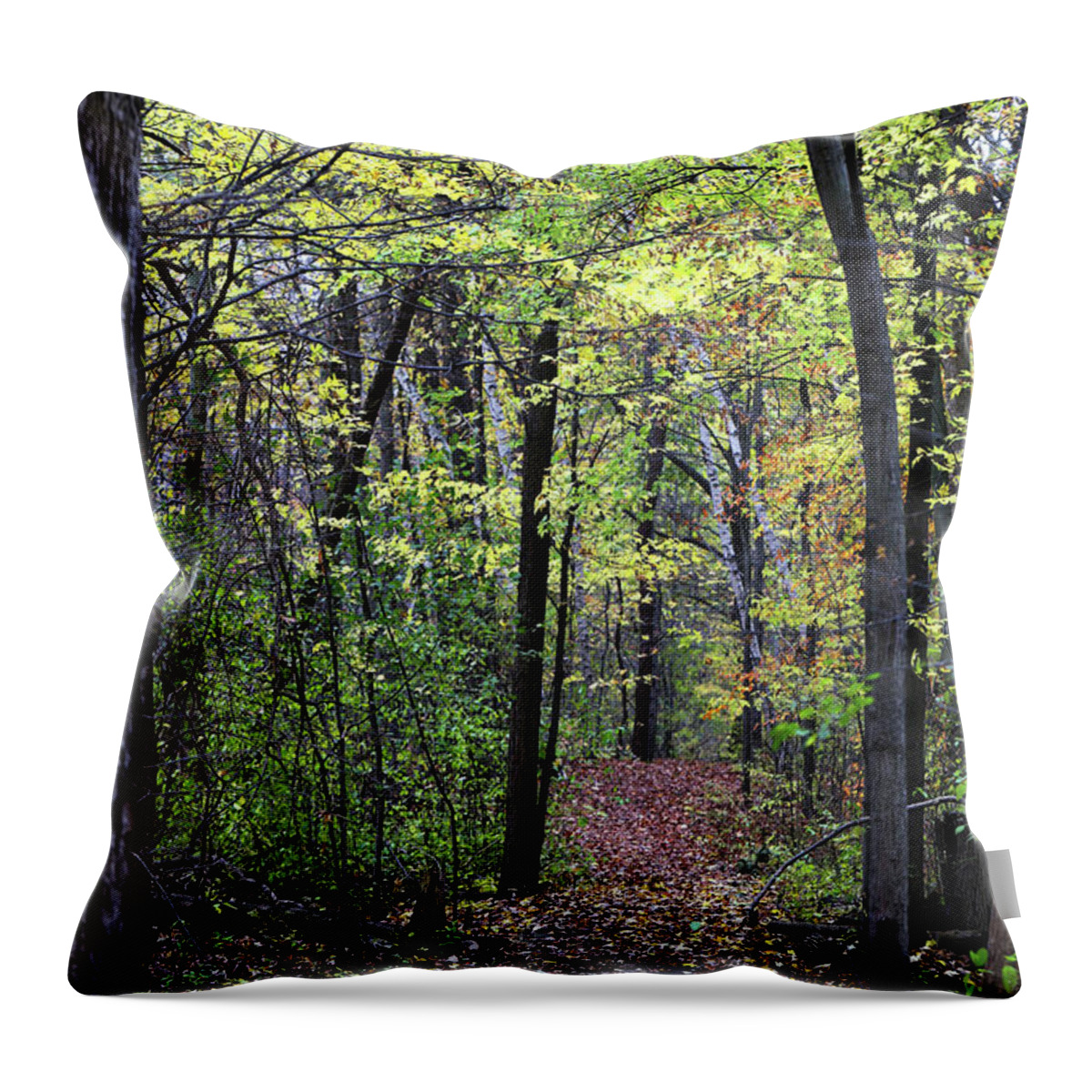 Fall Throw Pillow featuring the photograph Fall Forest 1 110417 by Mary Bedy