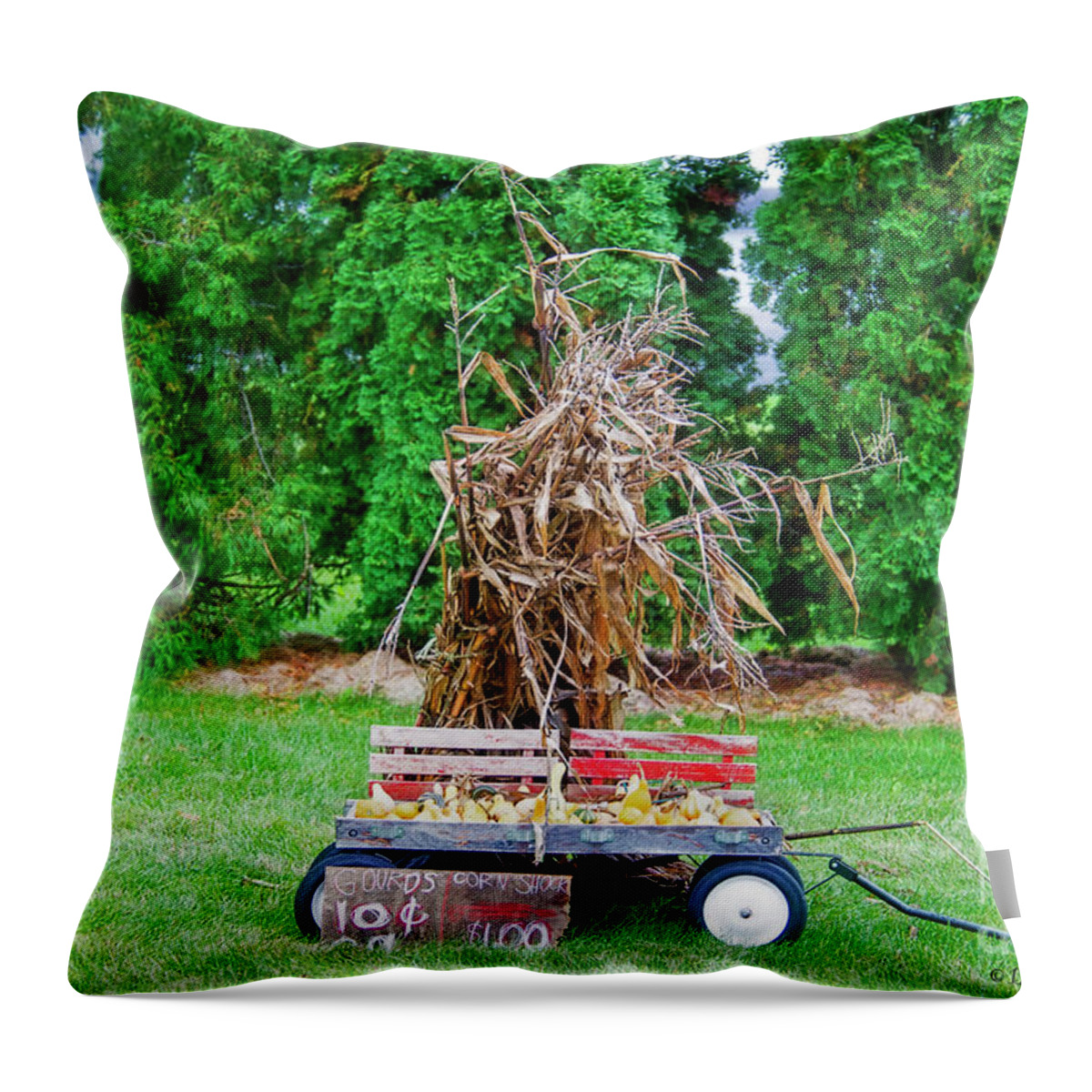 Fall Throw Pillow featuring the photograph Fall Gourds and Corn Shocks by David Arment