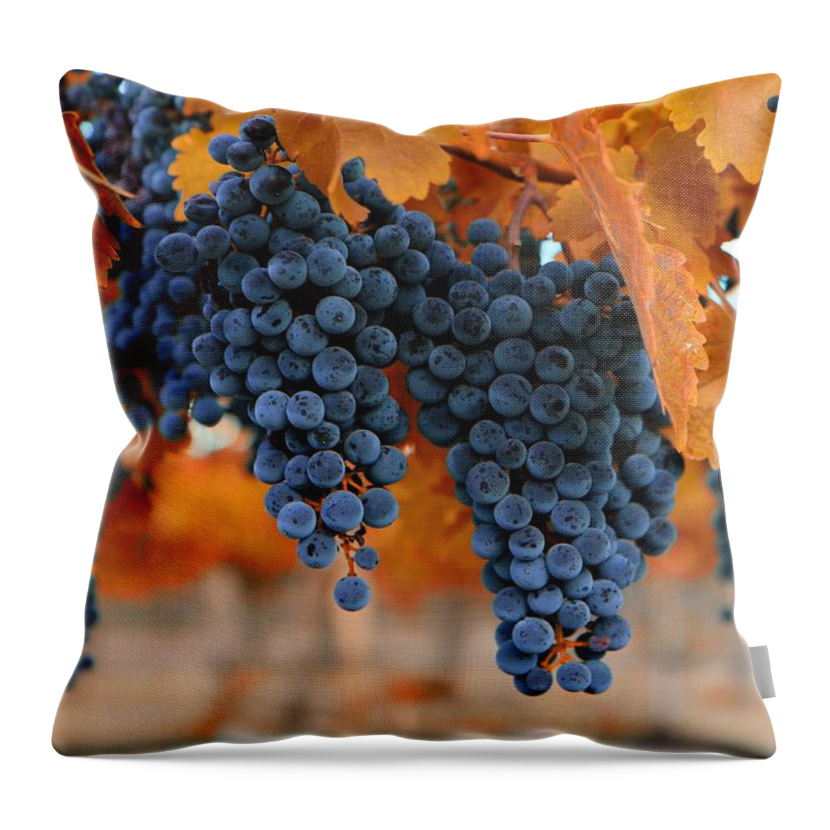 Fall Grapes Fall Colors Throw Pillow featuring the photograph Fall grapes Fall colors by Lynn Hopwood