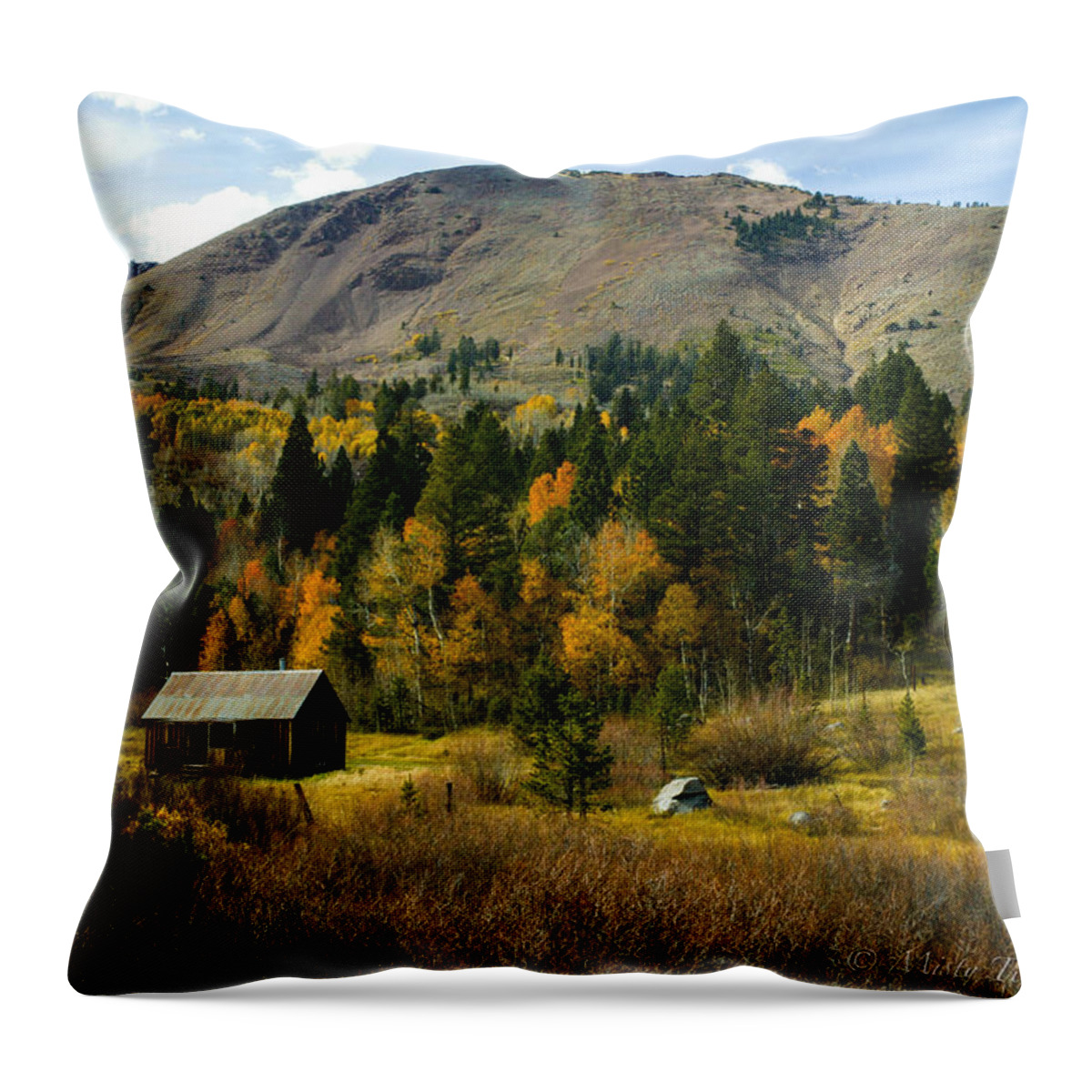 Hope Valley Throw Pillow featuring the photograph Fall Heaven by Misty Tienken