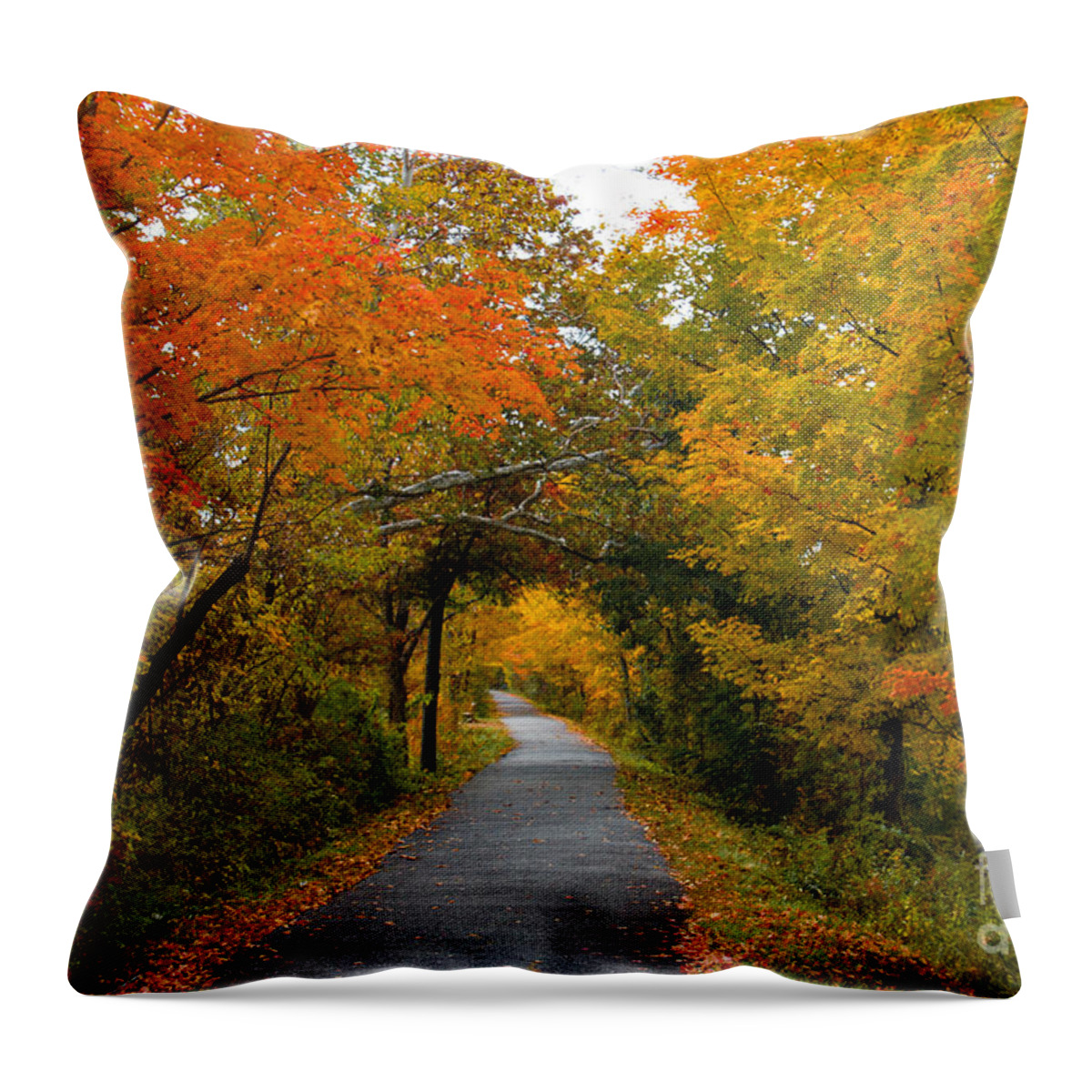 Fall Throw Pillow featuring the photograph Fall in Connecticut by JCV Freelance Photography LLC