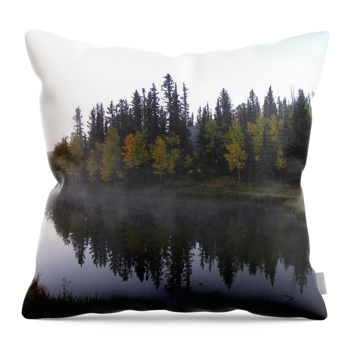 Lefog Throw Pillow featuring the photograph Kiddie Pond Fall Colors Divide CO by Margarethe Binkley