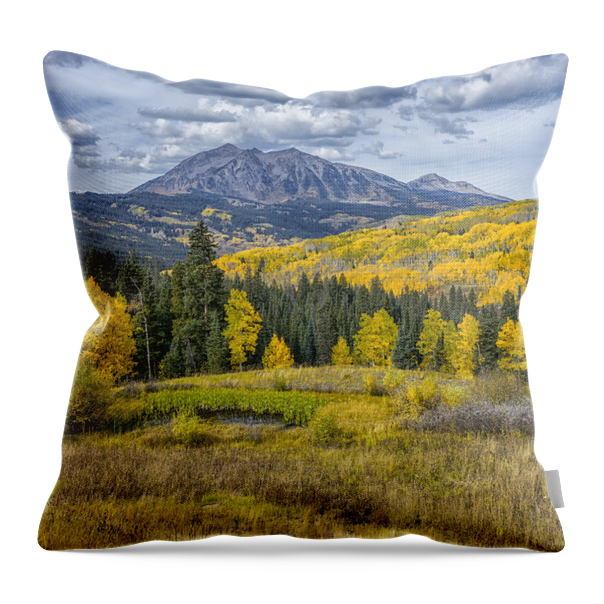 Colorado Throw Pillow featuring the photograph Fall in the Rockies Colorado DSC07164-5 by Greg Kluempers