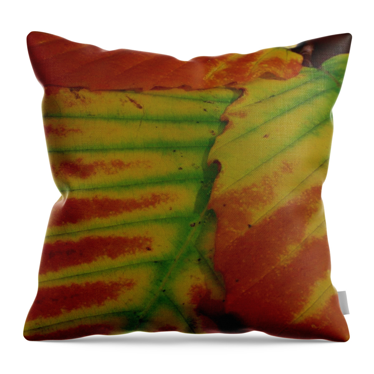 Leaf Throw Pillow featuring the photograph Fall Leafs by Juergen Roth
