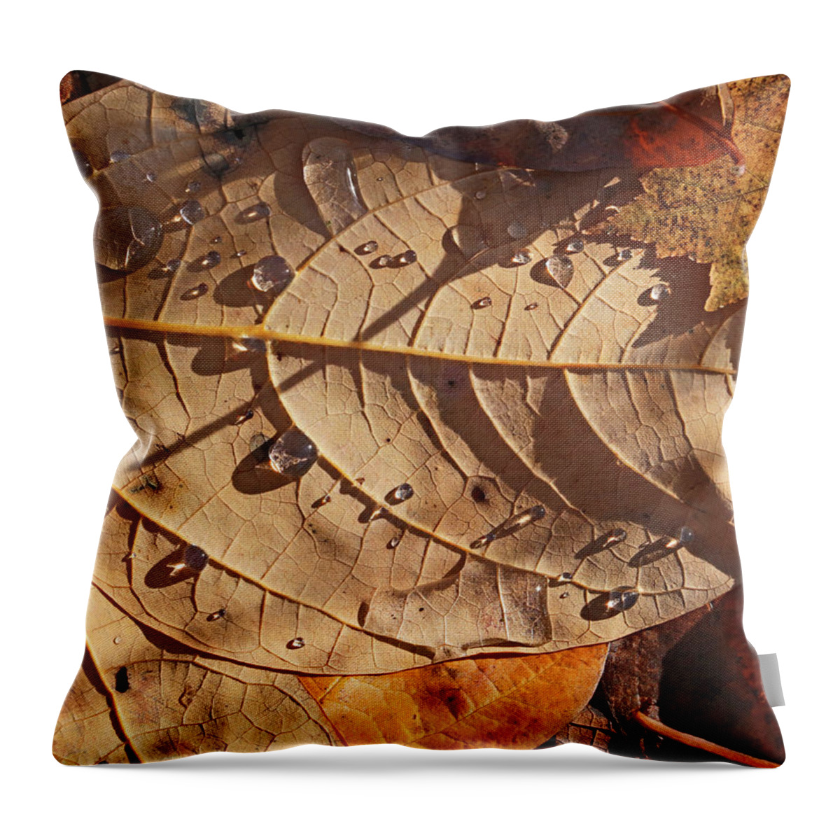 Fall Throw Pillow featuring the photograph Fall Leaves and Dew 14 2017 by Mary Bedy