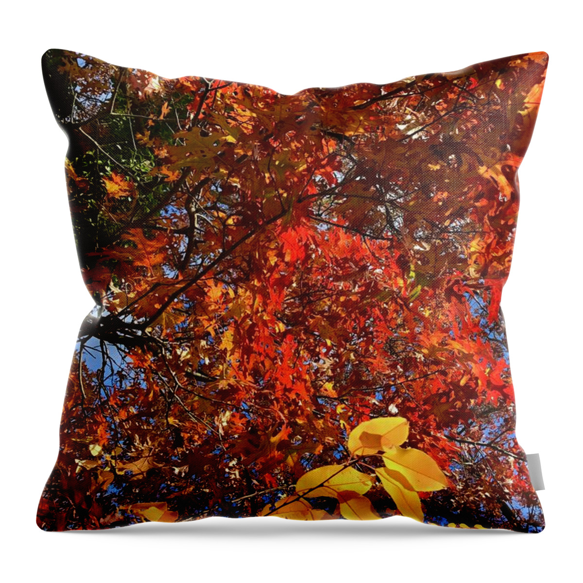Fall Throw Pillow featuring the photograph Fall Leaves by CAC Graphics