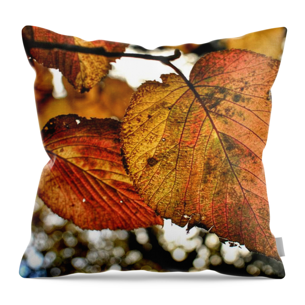 Fall Leaves Throw Pillow featuring the photograph Fall Leaves by Doug Ash