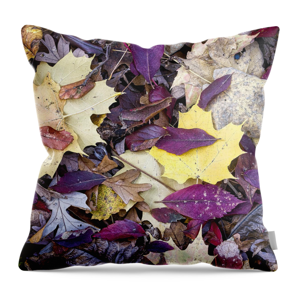 Arboretum Throw Pillow featuring the photograph Fall Leaves - UW Arboretum - Madison - Wisconsin by Steven Ralser