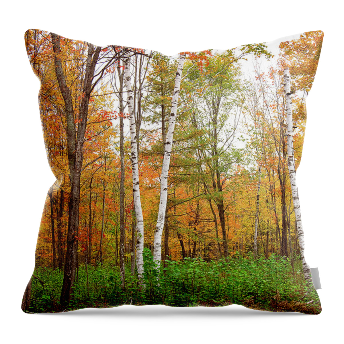 Fall Colors Print Throw Pillow featuring the photograph Fall Living Portrait by Gwen Gibson