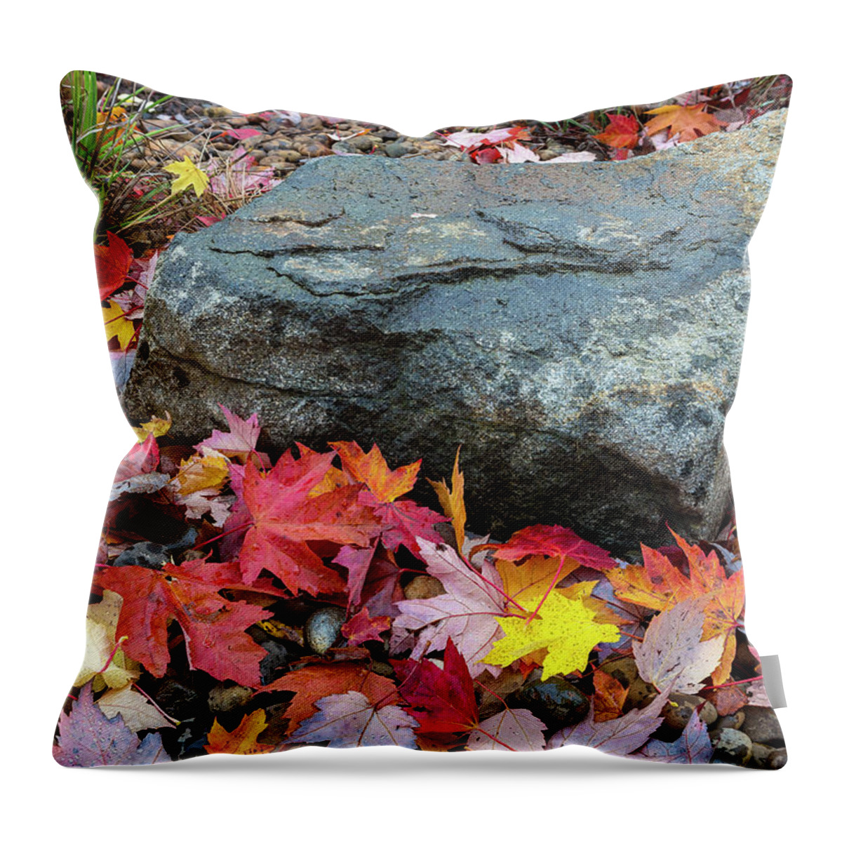 Maple Throw Pillow featuring the photograph Fall Maple Leaves by Rock in Garden Backyard by David Gn