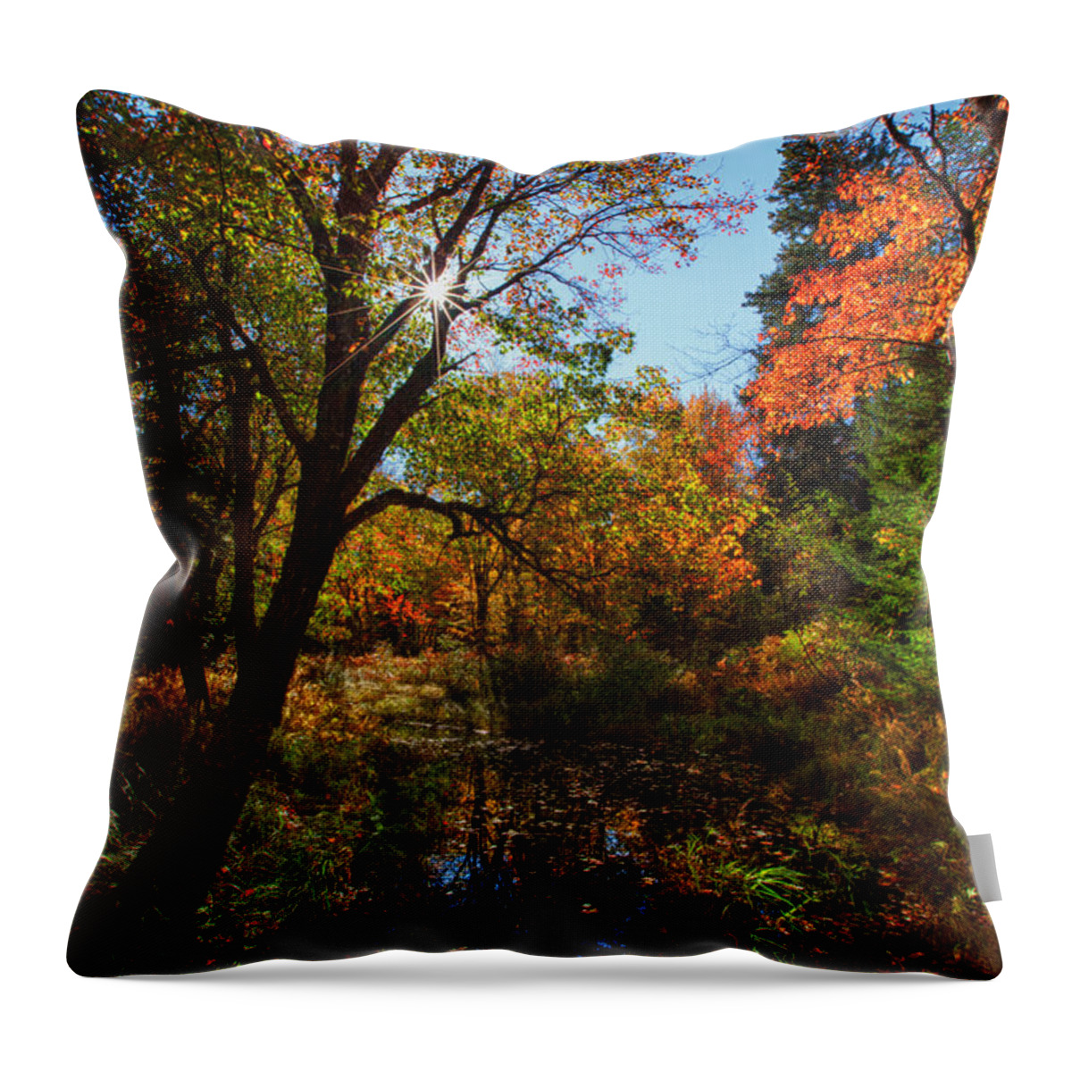 Kelly River Wilderness Throw Pillow featuring the photograph Fall Meadow And Sunburst by Irwin Barrett