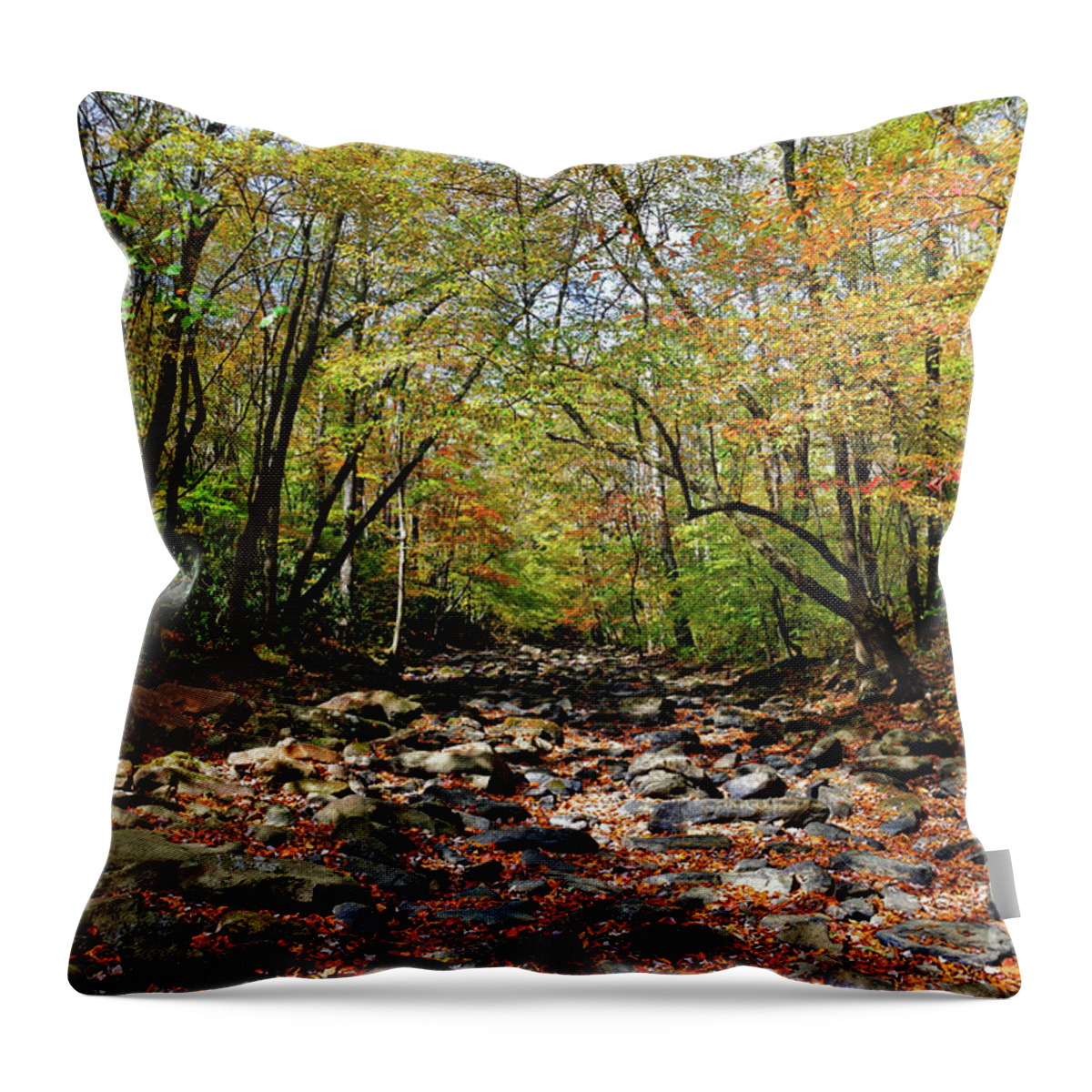 Fall Throw Pillow featuring the photograph Fall On Clifty Creek by Paul Mashburn