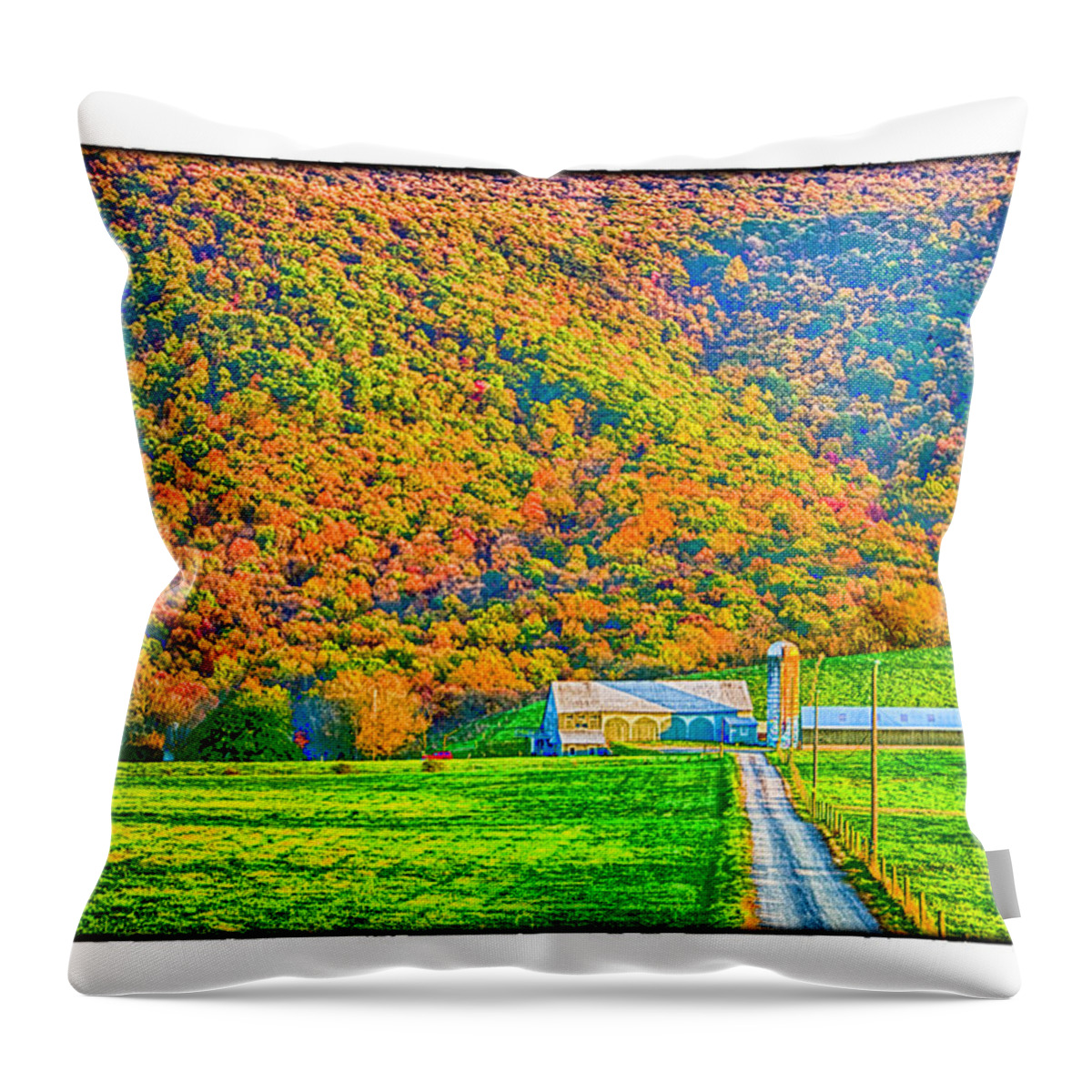 Fall Throw Pillow featuring the photograph Fall on the Farm by R Thomas Berner