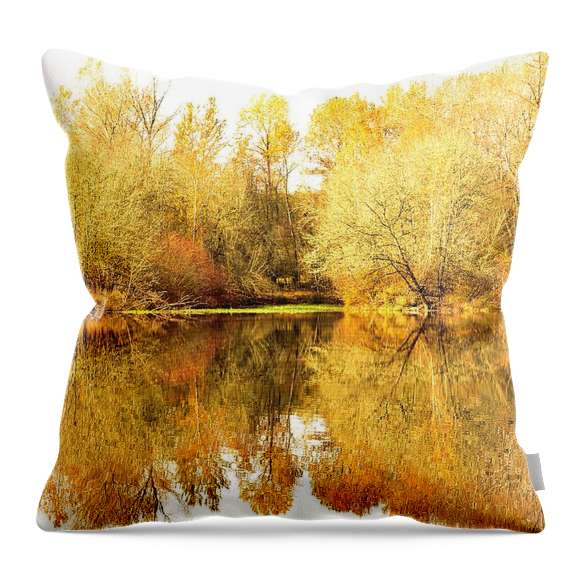 Landscape Fall Foliage Reflection Throw Pillow featuring the photograph Fall River Reflection by Michael Ramsey