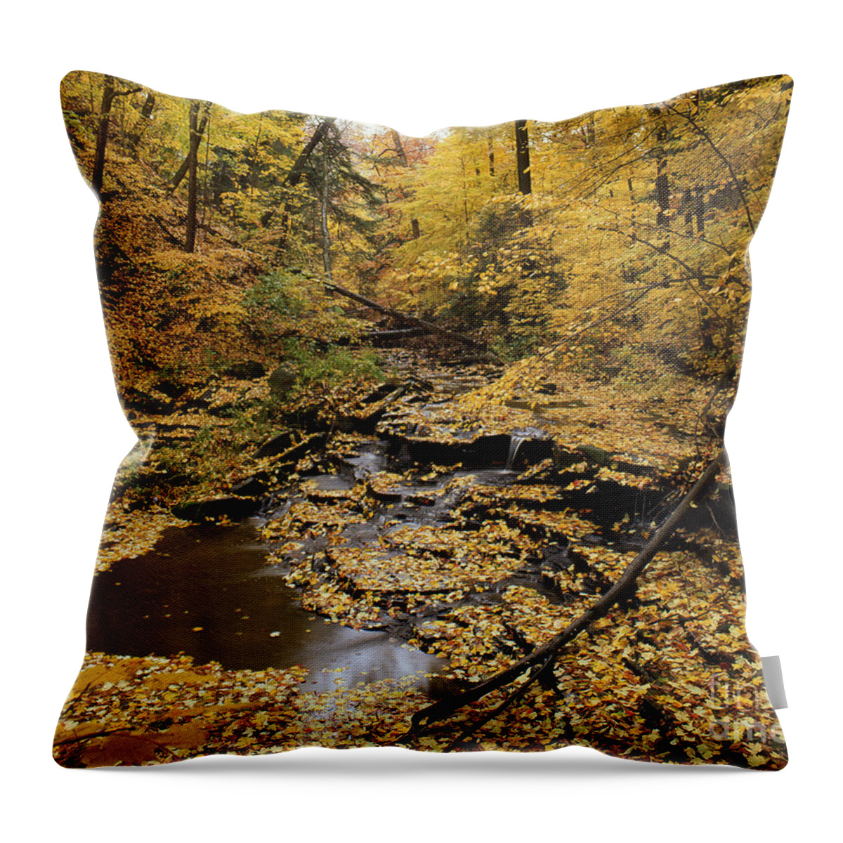 Fall Throw Pillow featuring the photograph Fall Scenic by James Baron