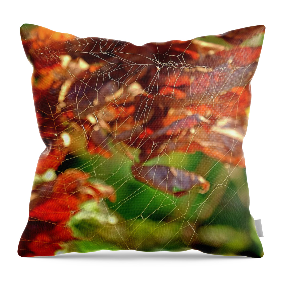 Fall Throw Pillow featuring the photograph Fall Spiderweb by Ronda Ryan