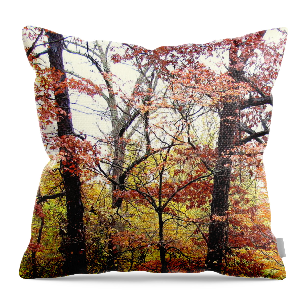 Foliage Throw Pillow featuring the photograph Fall Splatter by Deborah Crew-Johnson