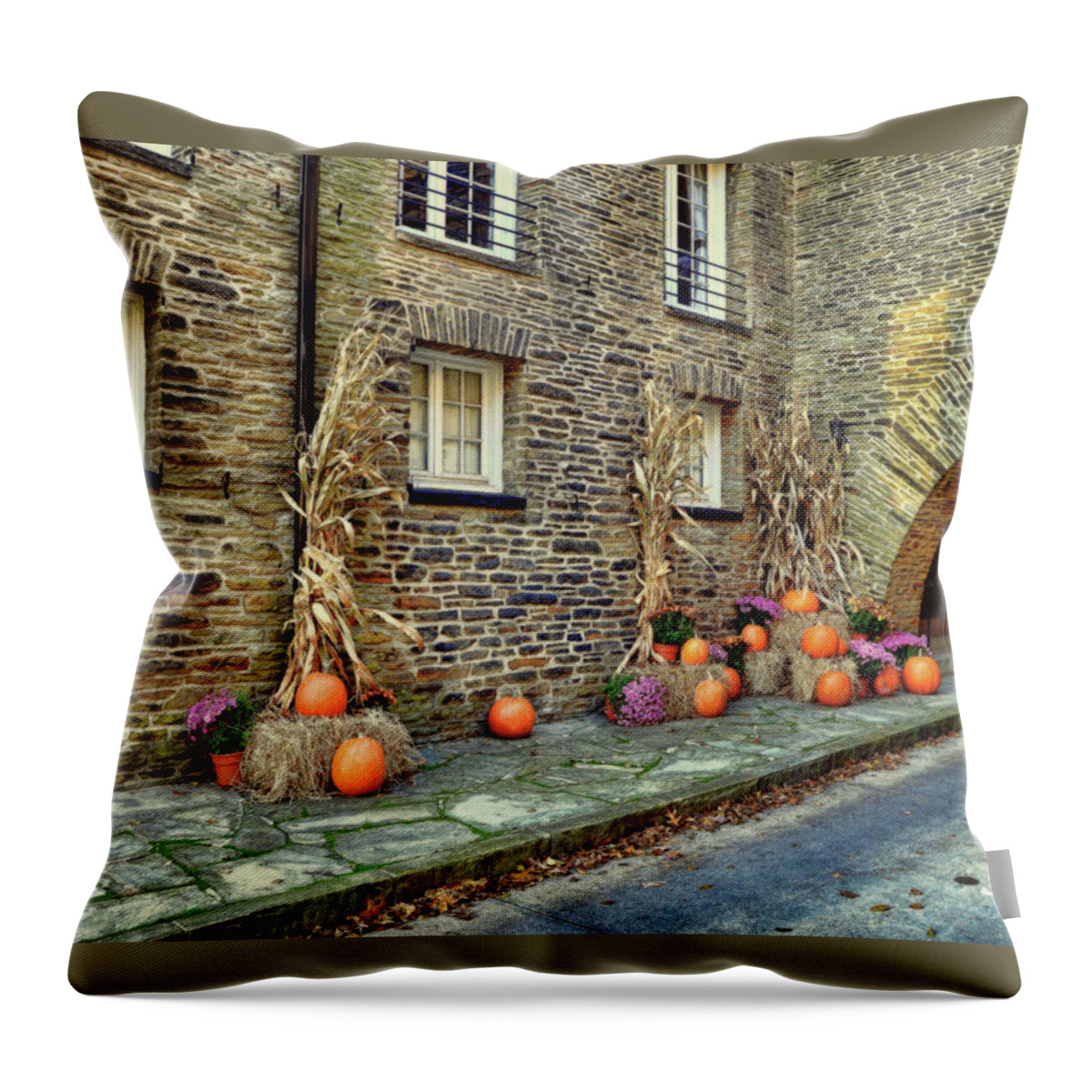 Landscape Throw Pillow featuring the photograph Fall Walkway by Megan Miller