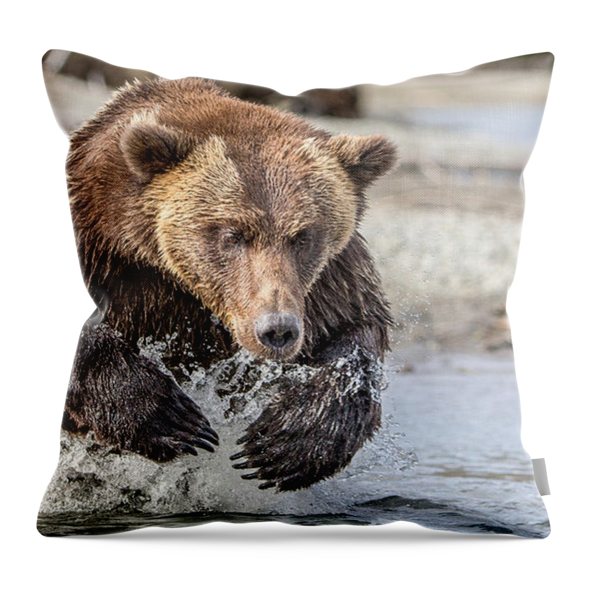 Alaska Throw Pillow featuring the photograph Fall Work by Kevin Dietrich