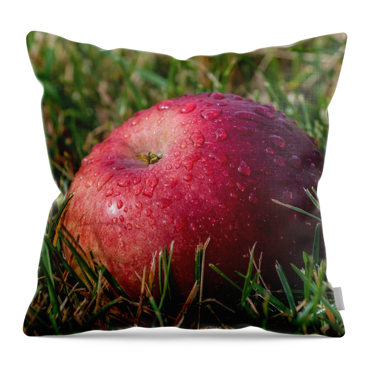 New York Throw Pillow featuring the photograph Fallen Apple by Ray Sheley