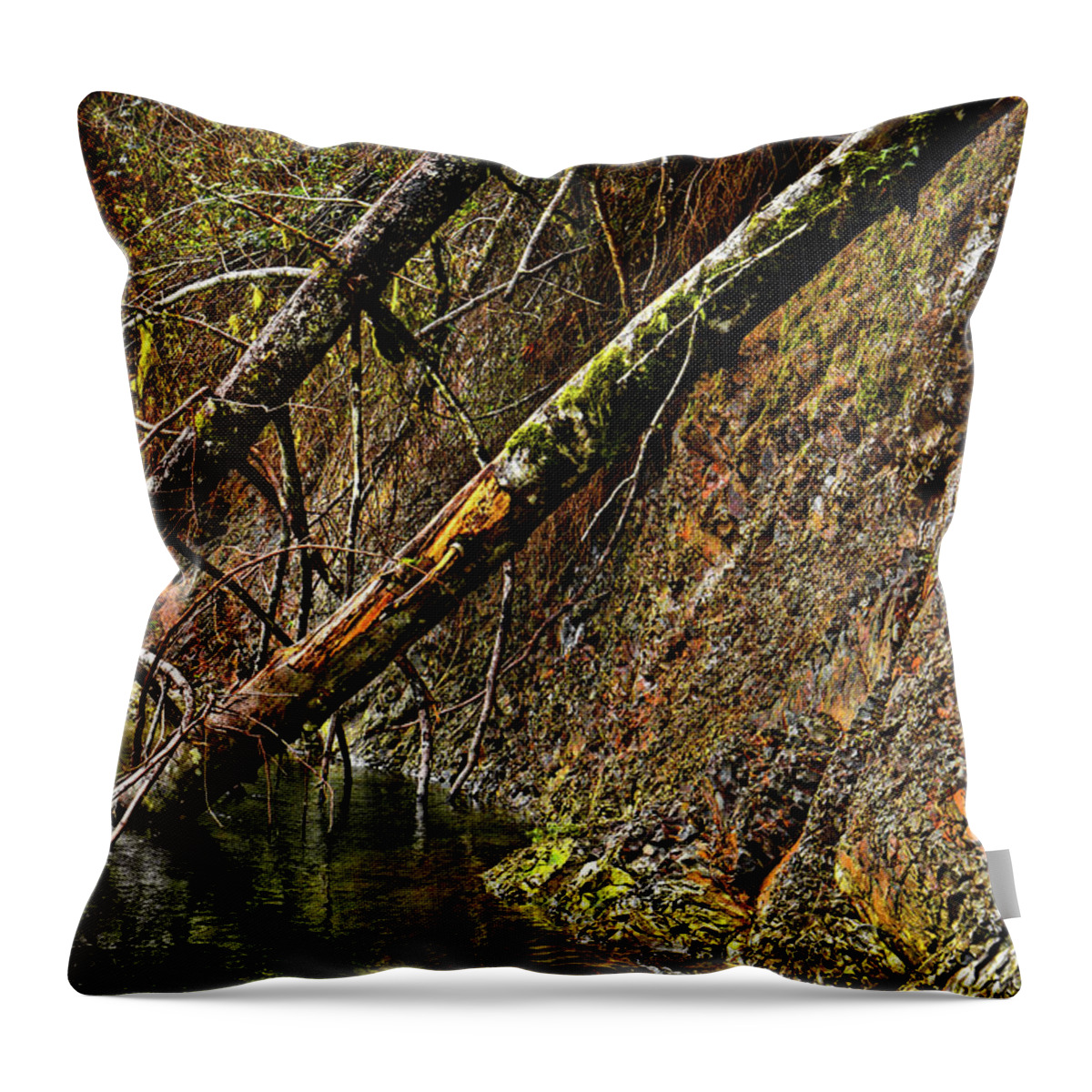 Riverscape Throw Pillow featuring the photograph Fallen Friends 2 by Jason Brooks