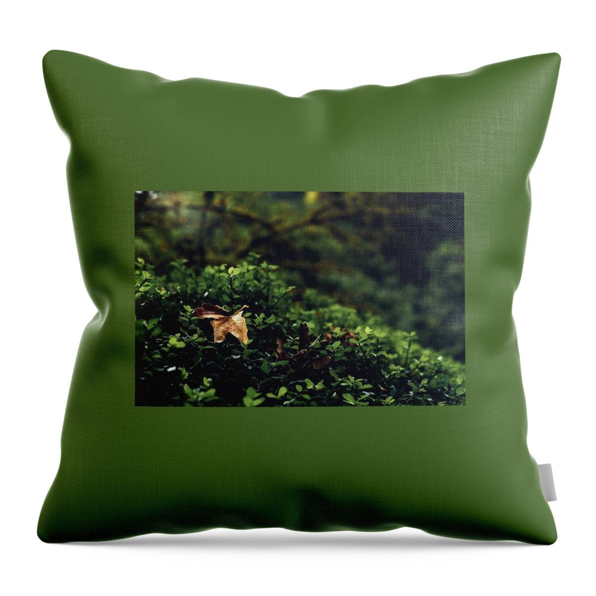 Leaf Throw Pillow featuring the photograph The Fallen by Gene Garnace