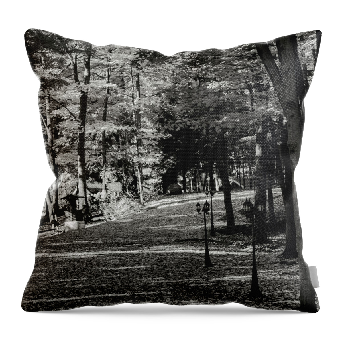 Fallen Throw Pillow featuring the photograph Fallen leaves. by James Canning
