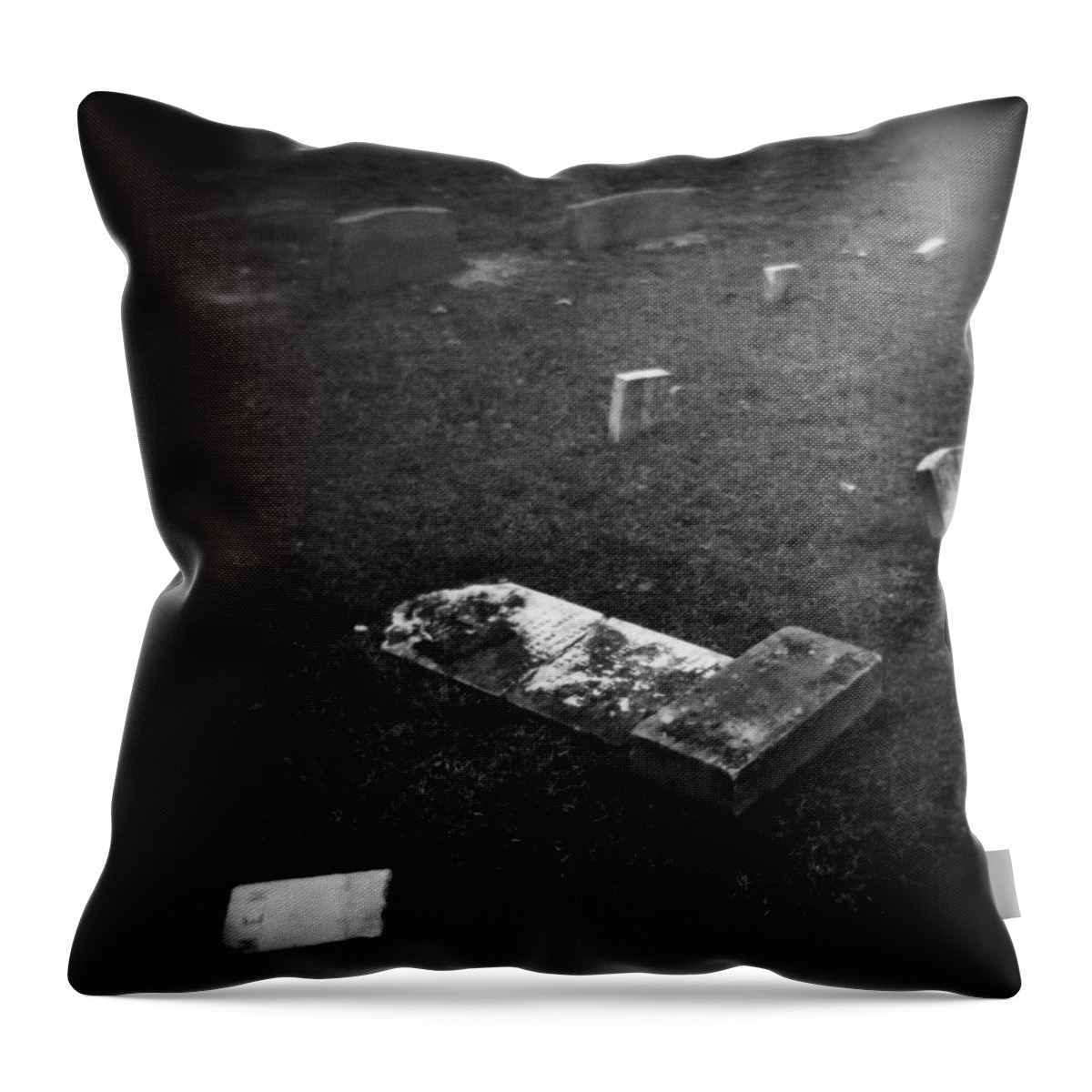 Black And White Throw Pillow featuring the photograph Fallen by Paul Anderson