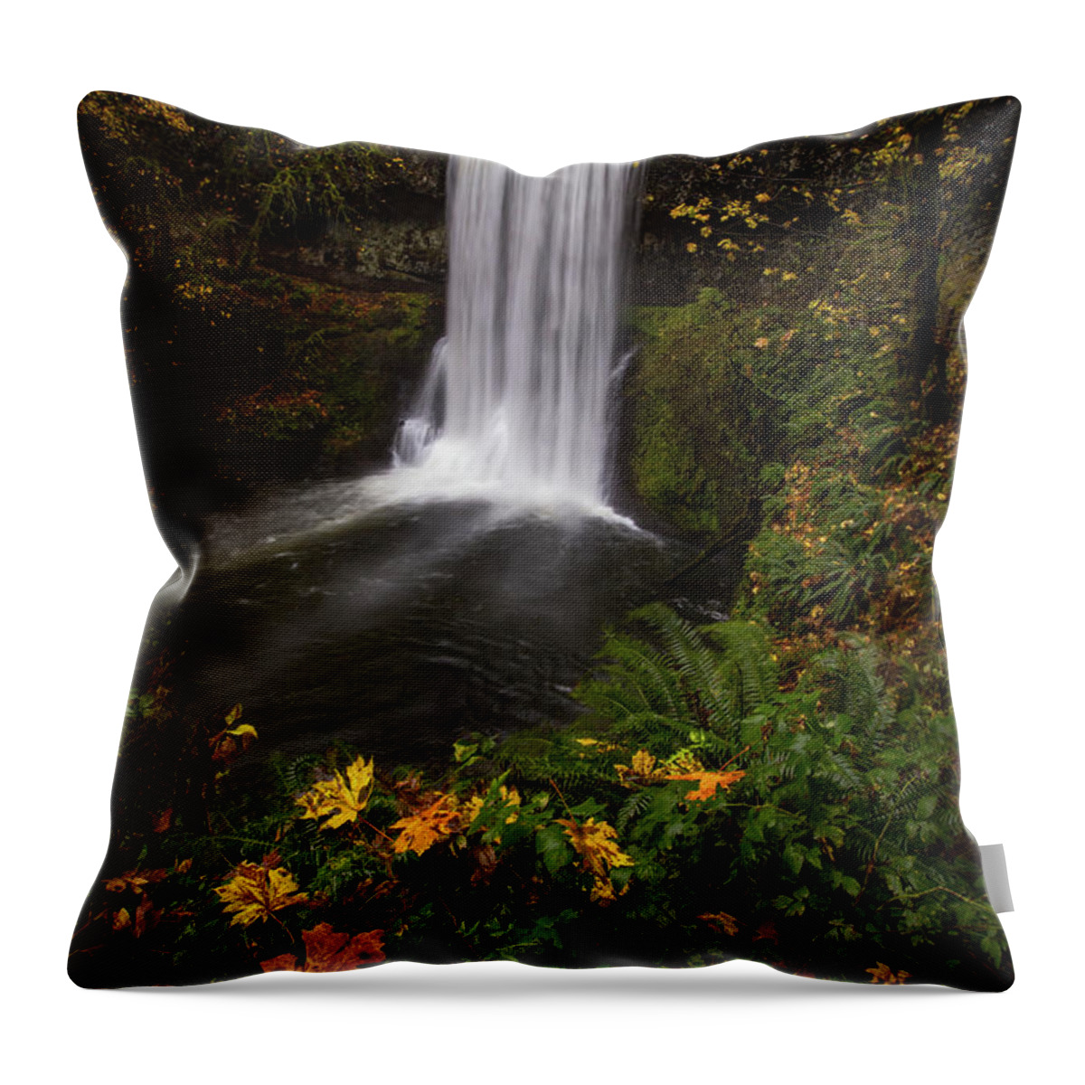 Fall Throw Pillow featuring the photograph Fallen by Ryan Smith