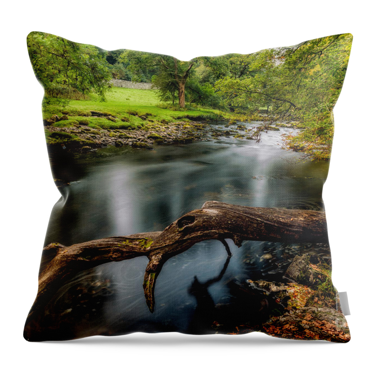 Betws-y-coed Throw Pillow featuring the photograph Fallen Tree by Adrian Evans