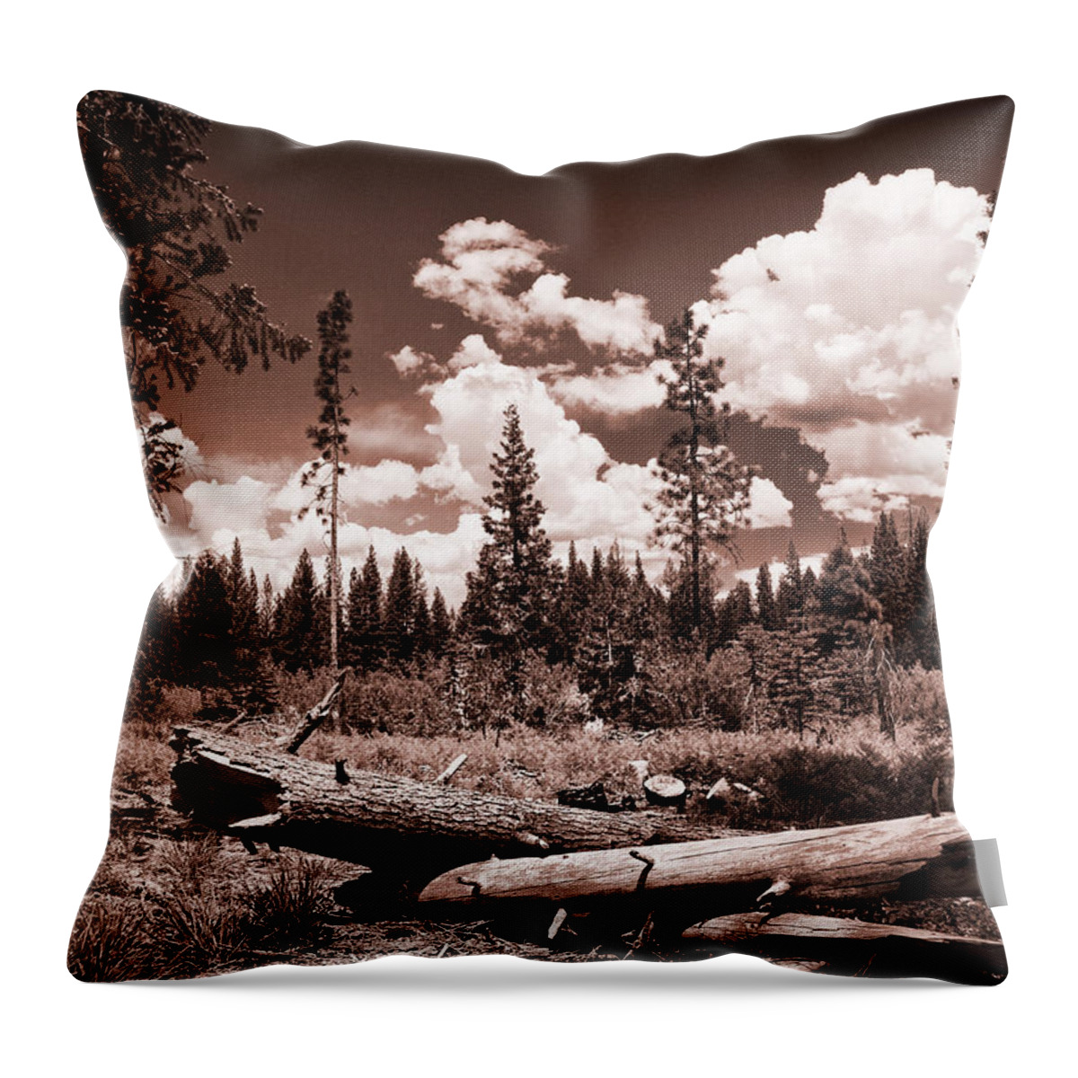 Tree Throw Pillow featuring the photograph Fallen Trees by Mick Burkey