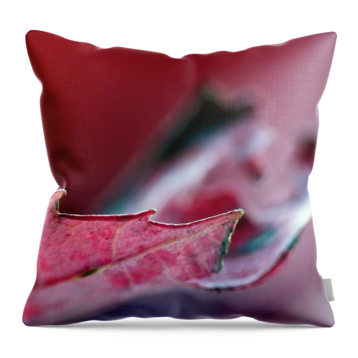 Abstract Throw Pillow featuring the photograph Falling I by Lauren Radke