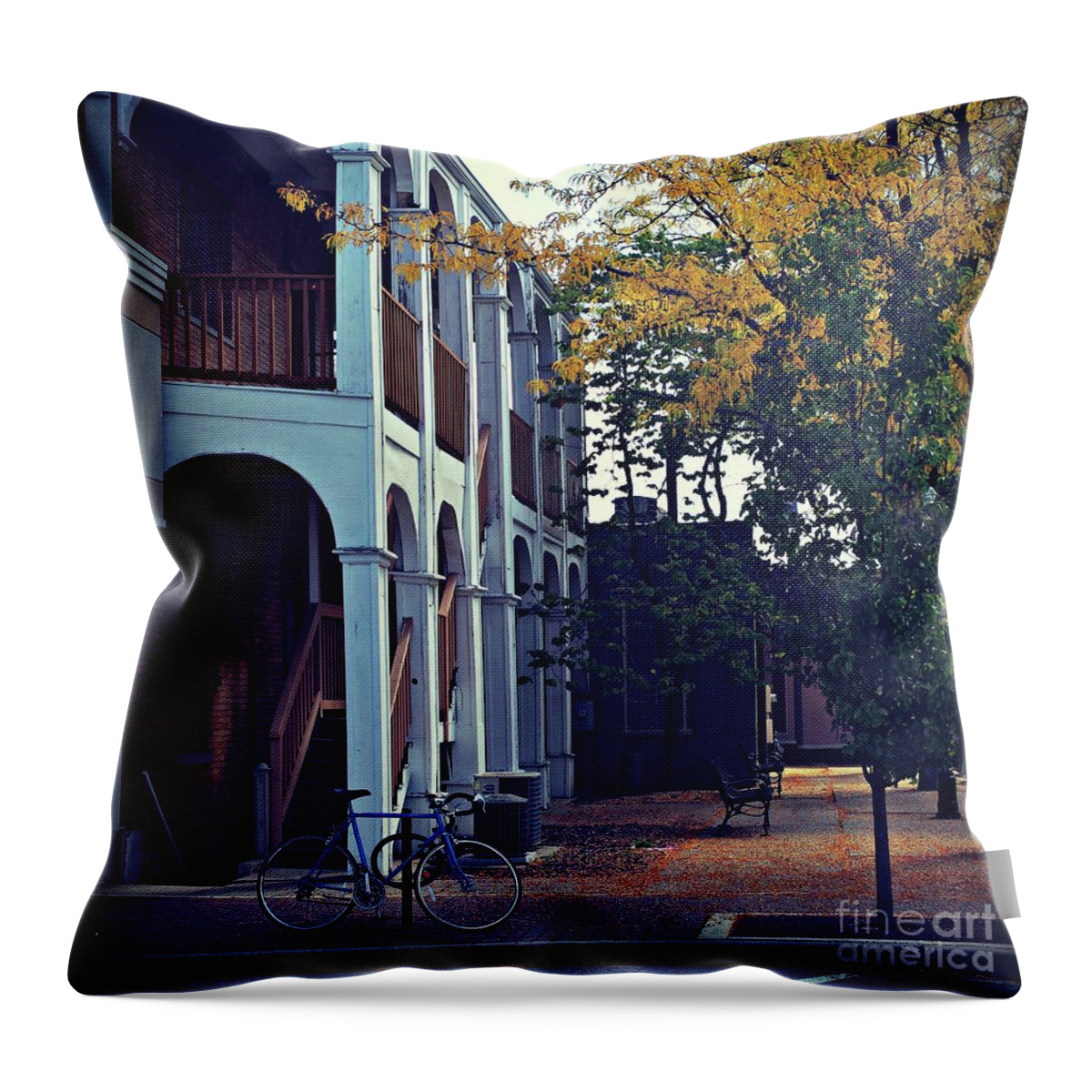America Throw Pillow featuring the photograph Falling Leaves on Martin Avenue by Frank J Casella